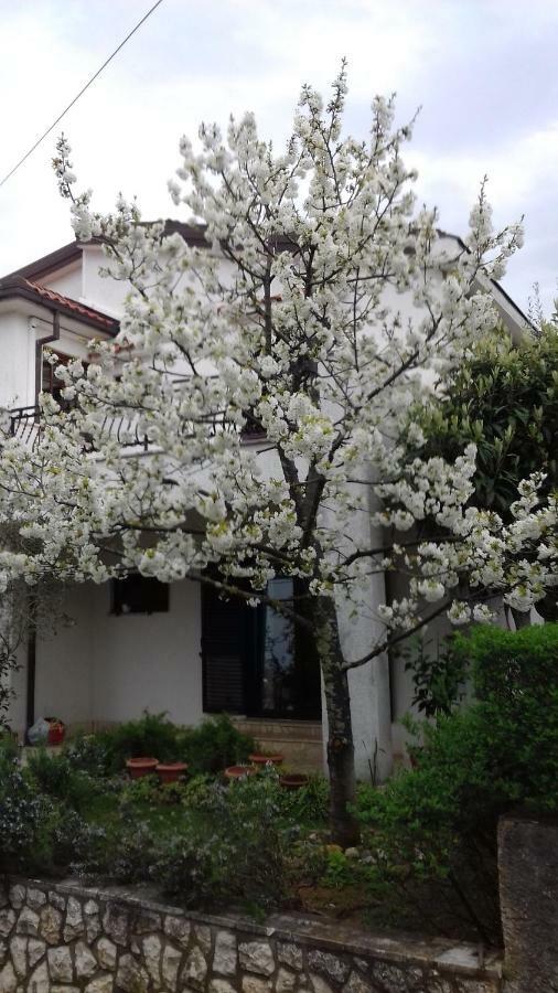 נייביצה Apartment Draga 17 מראה חיצוני תמונה